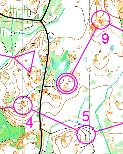 Orienteering map detail